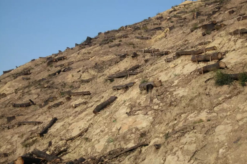 Λέκκας: Νέα προειδοποίηση για τον κίνδυνο πλημμυρών σε πυρόπληκτες περιοχές της Ηλείας - «Καμπανάκι» κινδύνου για τον Κρόνιο Λόφο στην Αρχαία Ολυμπία