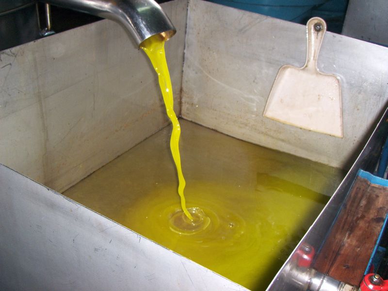 Δυτ. Ελλάδα: Του έκλεψαν το λάδι της χρονιάς!