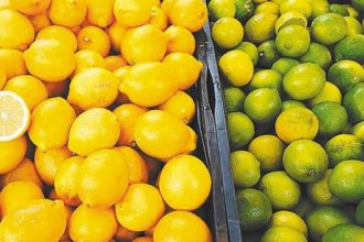 Το λάθος που κάνουμε όλοι όταν αποθηκεύουμε τα λεμόνια