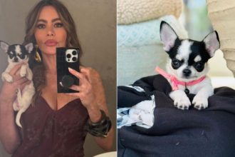 Το νέο κουτάβι της Σοφία Βεργκάρα λέγεται Αμόρε