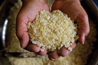 Αρωματικά και Φαρμακευτικά Φυτά: Ο ρόλος και η σημασία τους στην ελληνική οικονομία