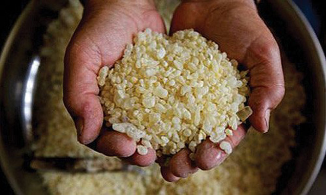 Αρωματικά και Φαρμακευτικά Φυτά: Ο ρόλος και η σημασία τους στην ελληνική οικονομία