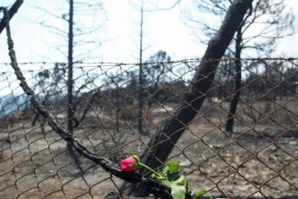 Έφταιξε κάποιος ‘’μαύρος κύκνος’’;