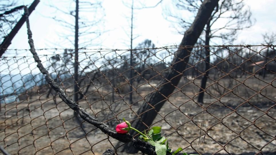 Έφταιξε κάποιος ‘’μαύρος κύκνος’’;