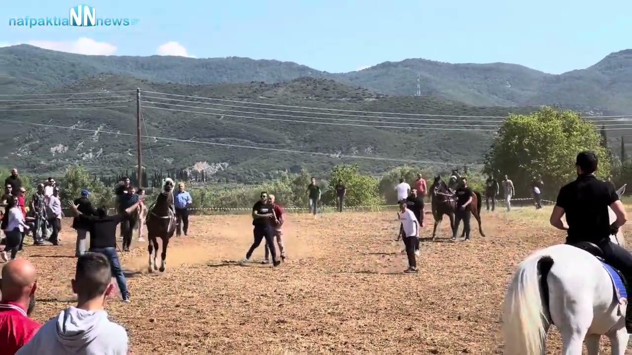Μεσολόγγι: Αναβίωσε και φέτος το έθιμο με τις ιπποδρομίες για τη γιορτή του Αγίου Γεωργίου - ΒΙΝΤΕΟ