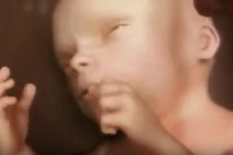 Συγκλονιστικό ΒΙΝΤΕΟ: Τι ακριβώς συμβαίνει στη μήτρα για 9 μήνες