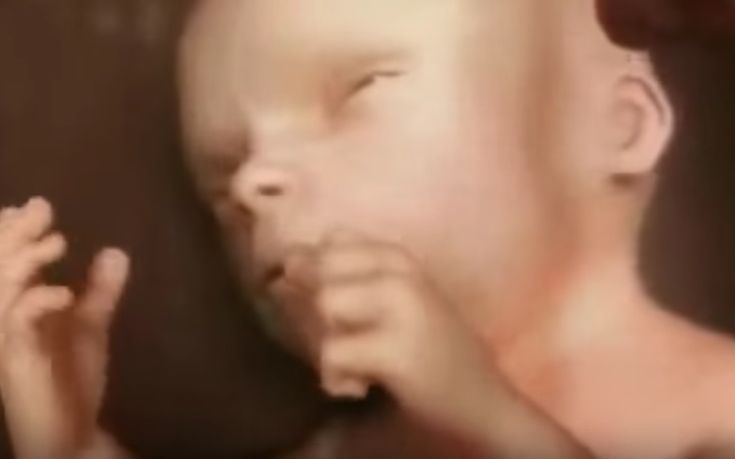 Συγκλονιστικό ΒΙΝΤΕΟ: Τι ακριβώς συμβαίνει στη μήτρα για 9 μήνες