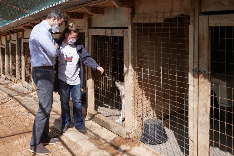 Ο Κυριάκος Μητσοτάκης στο καταφύγιο αδέσποτων ζώων στην Ηλιούπολη