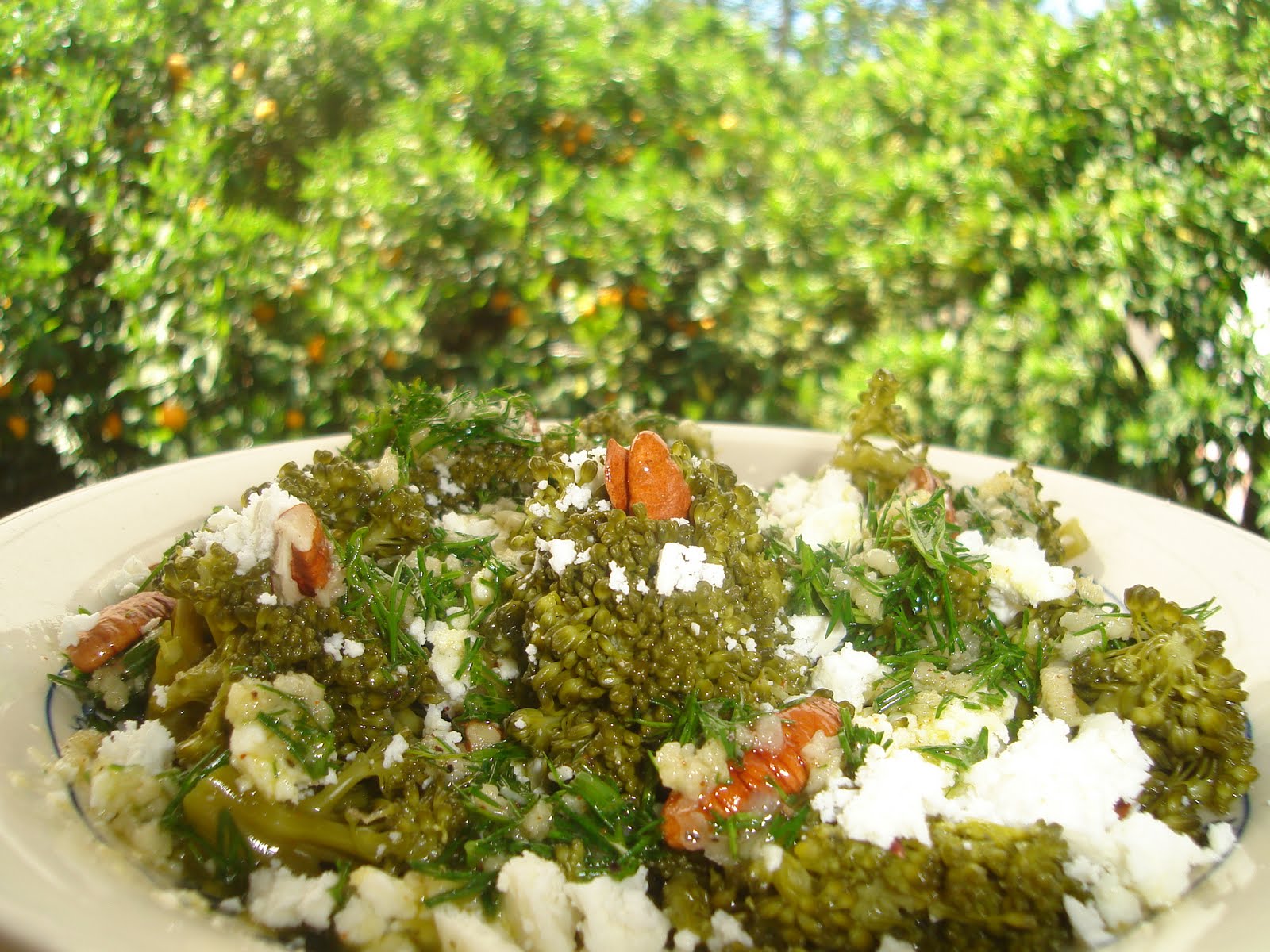 Ζεστή σαλάτα μπρόκολου με καρύδια, φέτα και … παραδώστε πνεύμα σε «έκρηξη» γεύσεων!