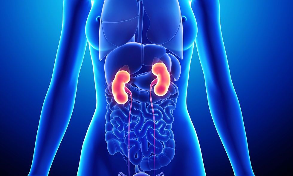 Πέτρες στους νεφρούς: Το Νο1 σημάδι που οι περισσότεροι άνθρωποι αγνοούν