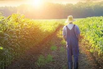 Η χαμηλή εκπαίδευση αγροτών σήμερα, μοχλός ανάπτυξης αύριο