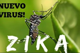 Το ΚΕΕΛΠΝΟ εξέδωσε ταξιδιωτική οδηγία για τον ιό Ζίκα