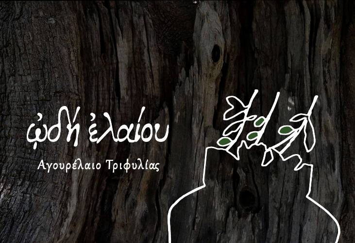 Ωδή ελαίου... Αυθεντικό Αγουρόλαδο από την Τριφυλιακή γη