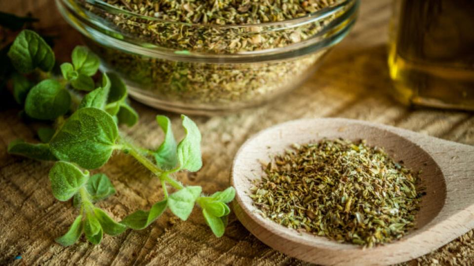 "Οι μυρωδιές της Ρίγανης για τ Αγιαννιού τη χάρη" - Η μεγάλη εκδήλωση του συλλόγου "Πάλεια"