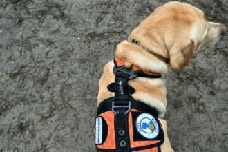 Σε ποιο αεροδρόμιο οι ταξιδιώτες μπορούν να χαϊδεύουν σκυλάκια θεραπείας