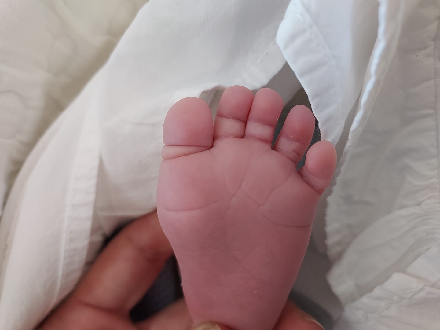 Αχαΐα Πατέρας για πρώτη φορά ο αντιπρόεδρος του ΦΟΔΣΑ - ΦΩΤΟ