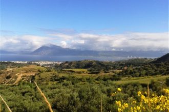 Η ΟΙΚΙΠΑ για την Παγκόσμια Ημέρα Περιβάλλοντος