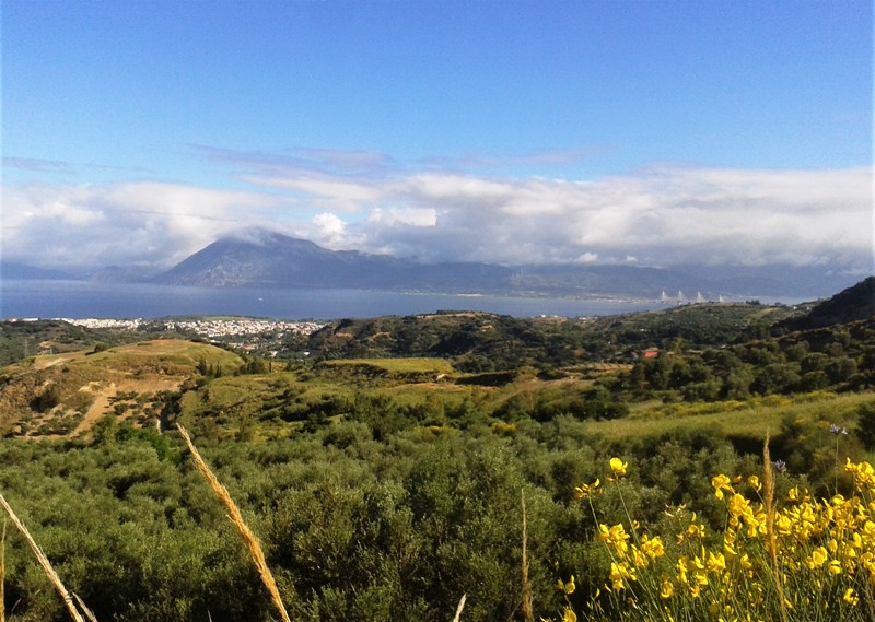 Η ΟΙΚΙΠΑ για την Παγκόσμια Ημέρα Περιβάλλοντος