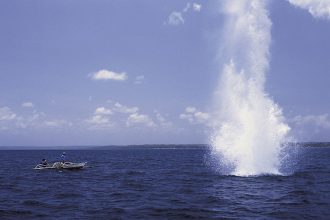 Η συμμετοχή του ΝΗΡΕΑ στο FORUM Ανάπτυξης "Έξυπνες λύσεις παντού"