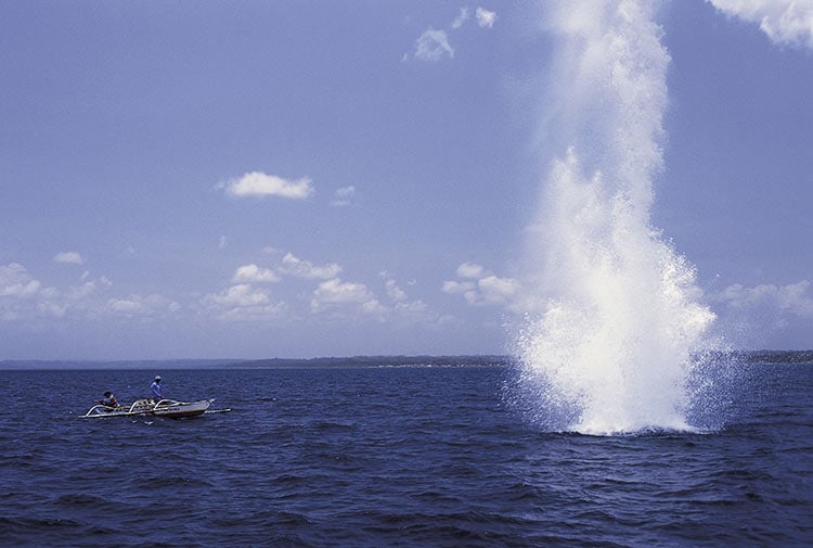 Η συμμετοχή του ΝΗΡΕΑ στο FORUM Ανάπτυξης "Έξυπνες λύσεις παντού"