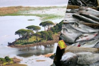 Οικολογική Δυτική Ελλάδα: "Εθνικό Πάρκο ή Ιχθυοτροφείο;"