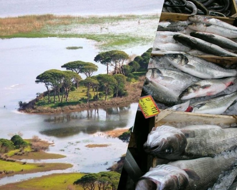 Οικολογική Δυτική Ελλάδα: "Εθνικό Πάρκο ή Ιχθυοτροφείο;"