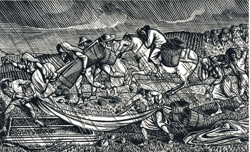 Πάτρα: Εκδήλωση παρουσίασης της έκδοσης για τον «μαύρο χρυσό» του Μωριά