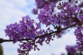 Βόλτα στην πασχαλινή Ελλάδα!
