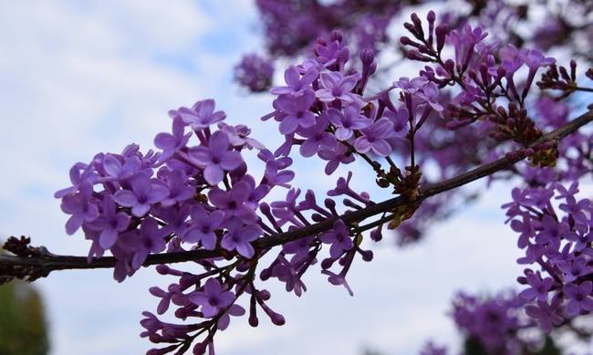 Βόλτα στην πασχαλινή Ελλάδα!