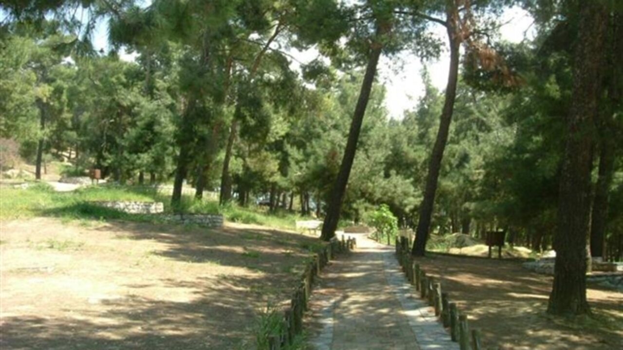 Πως μπορεί να "πρασινίσει" η Πάτρα - Η πρόταση του ΤΕΕ για δενδροφυτεύσεις στον αστικό ιστό - Β. Αϊβαλής: Να παρέμβουμε υπέρ των πολιτών