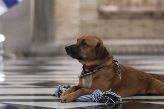Τελευταίος… και με ταξί έφυγε ο Πίνατ από το Μαξίμου, πάει Πειραιώς το «κομματόσκυλο»