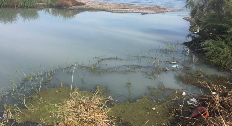 Σύλλογος Αλισσαίων "Πείρος": Αναφορές για φερτά υλικά στις εκβολές του Πείρου