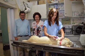 O δήμαρχος Πατρέων για την Παγκόσμια Ημέρα των Ζώων