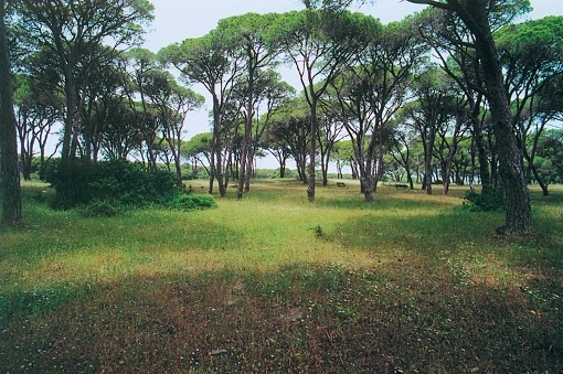 Πάτρα: Παράταση έως την Πέμπτη 17 Ιουνίου για το «Δες το σφαιρικά»