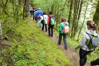 Συνδέσμος Ορειβατών Πατρών: Πεζοπορία στο Χελμό