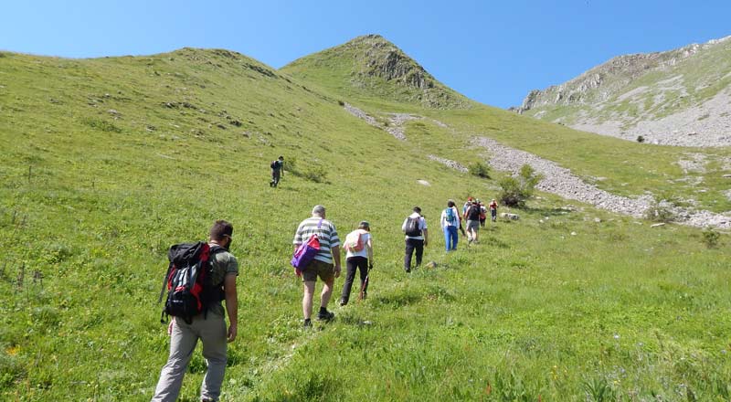 Πεζοπορική-Περιβαλλοντική Ομάδα Πανηπειρωτικού Συλλόγου Πατρών: Δράση στο Πουρναρόκαστρο