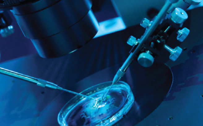 Online σύστημα υπολογίζει αν θα πετύχει η εξωσωματική