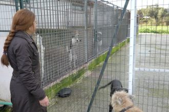 Διαδικτυακή ξενάγηση μαθητών στο Καταφύγιο Αδέσποτων Ζώων του Δήμου Πατρέων