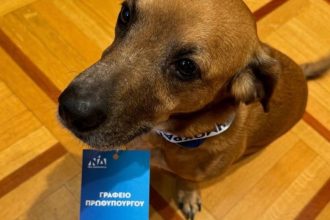 Με διαπίστευση από το γραφείο του πρωθυπουργού ο Πίνατ για το 15ο Συνέδριο της ΝΔ