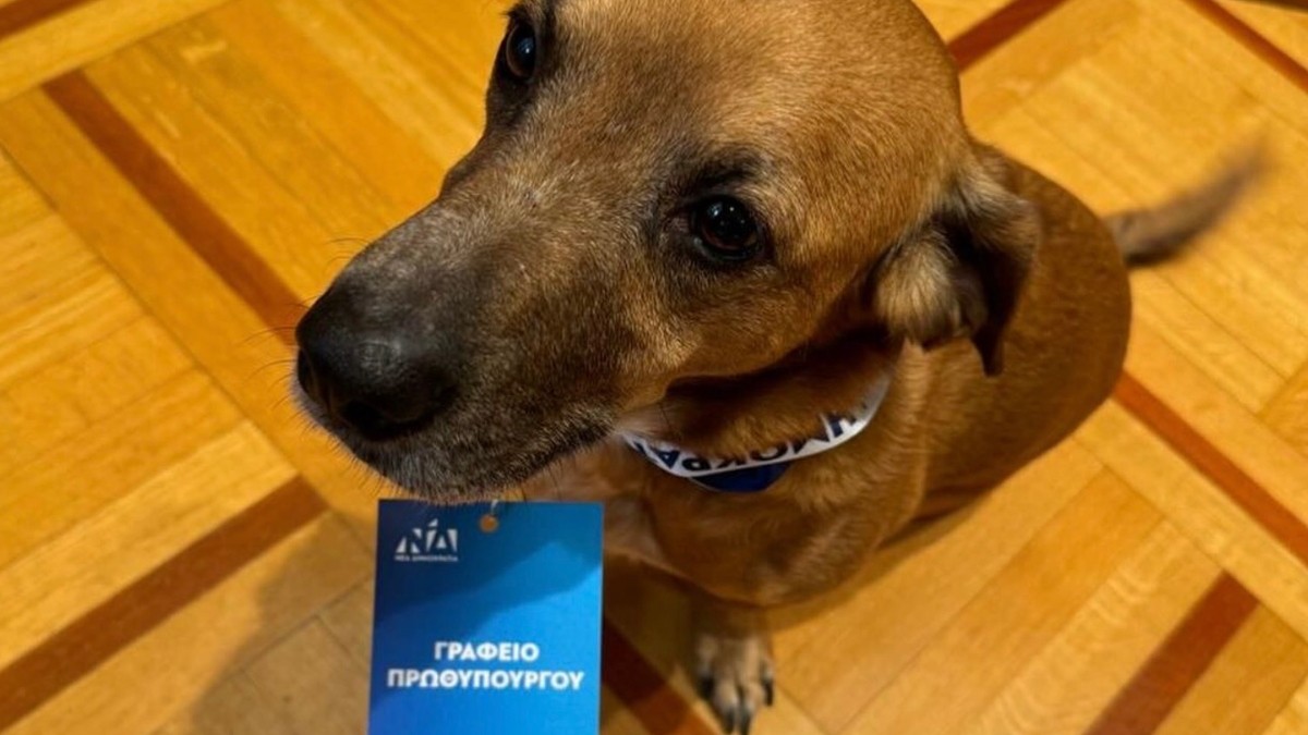 Με διαπίστευση από το γραφείο του πρωθυπουργού ο Πίνατ για το 15ο Συνέδριο της ΝΔ