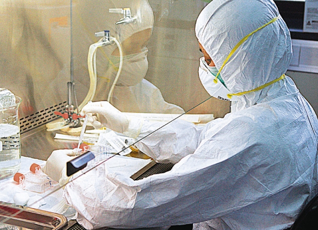 Νέα πειραματική θεραπεία του ιού του έρπη