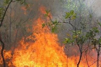 "Μύρισε" η Πάτρα από την φωτιά στο Δρέπανο