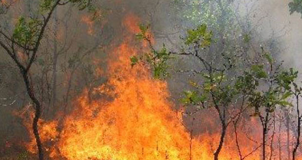 "Μύρισε" η Πάτρα από την φωτιά στο Δρέπανο