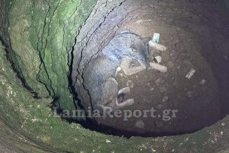 Επιχείρηση διάσωσης λύκου που έπεσε σε πηγάδι