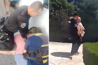 Η ΕΛ.ΑΣ. απαντά στον Νίκο Παππά τι είναι “μπάτσος”: Το βίντεο με νόημα... των 45 δευτερολέπτων