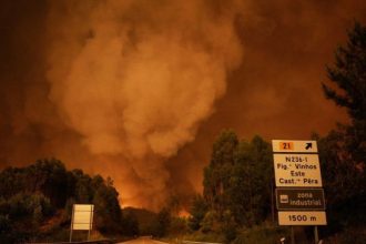 Η Πορτογαλία έμαθε από τις πυρκαγιές. Εμείς;