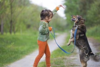Η σωστή γνωριμία παιδιού και σκύλου για να παίξουν μαζί με ασφάλεια