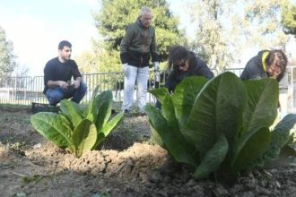 Αστικοί λαχανόκηποι στο Πάρκο Εκπαιδευτικών Δράσεων του Δήμου Πατρέων