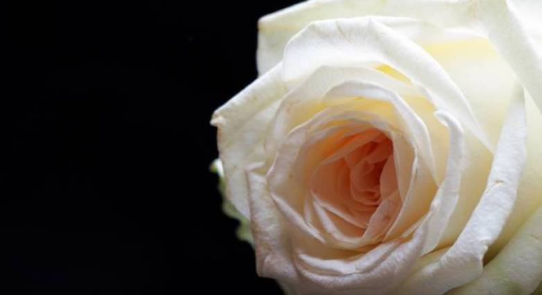 Αιτωλοακαρνανία: Έφυγε σε ηλικία 109 ετών μια από τις γηραιότερες γυναίκες στην Ελλάδα