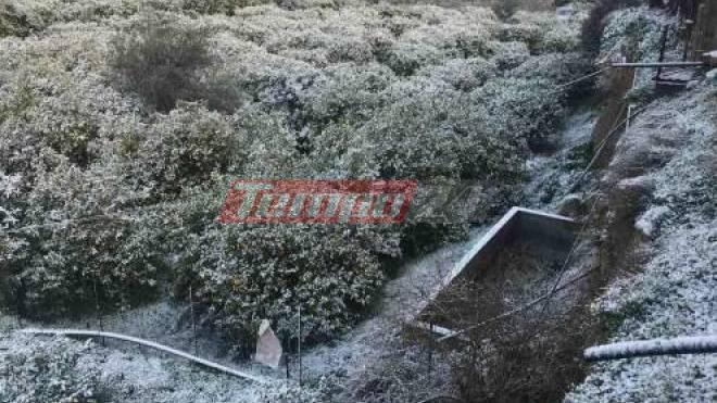 Ακράτα: Ηχησε το 112 - Ειδοποίηση για έντονες χιονοπτώσεις - Το "στρώνει" στην περιοχή (ΦΩΤΟ & ΒΙΝΤΕΟ)